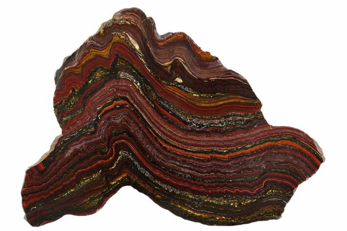 Polished Tiger Iron Stromatolite Slab - Billion Years #178767